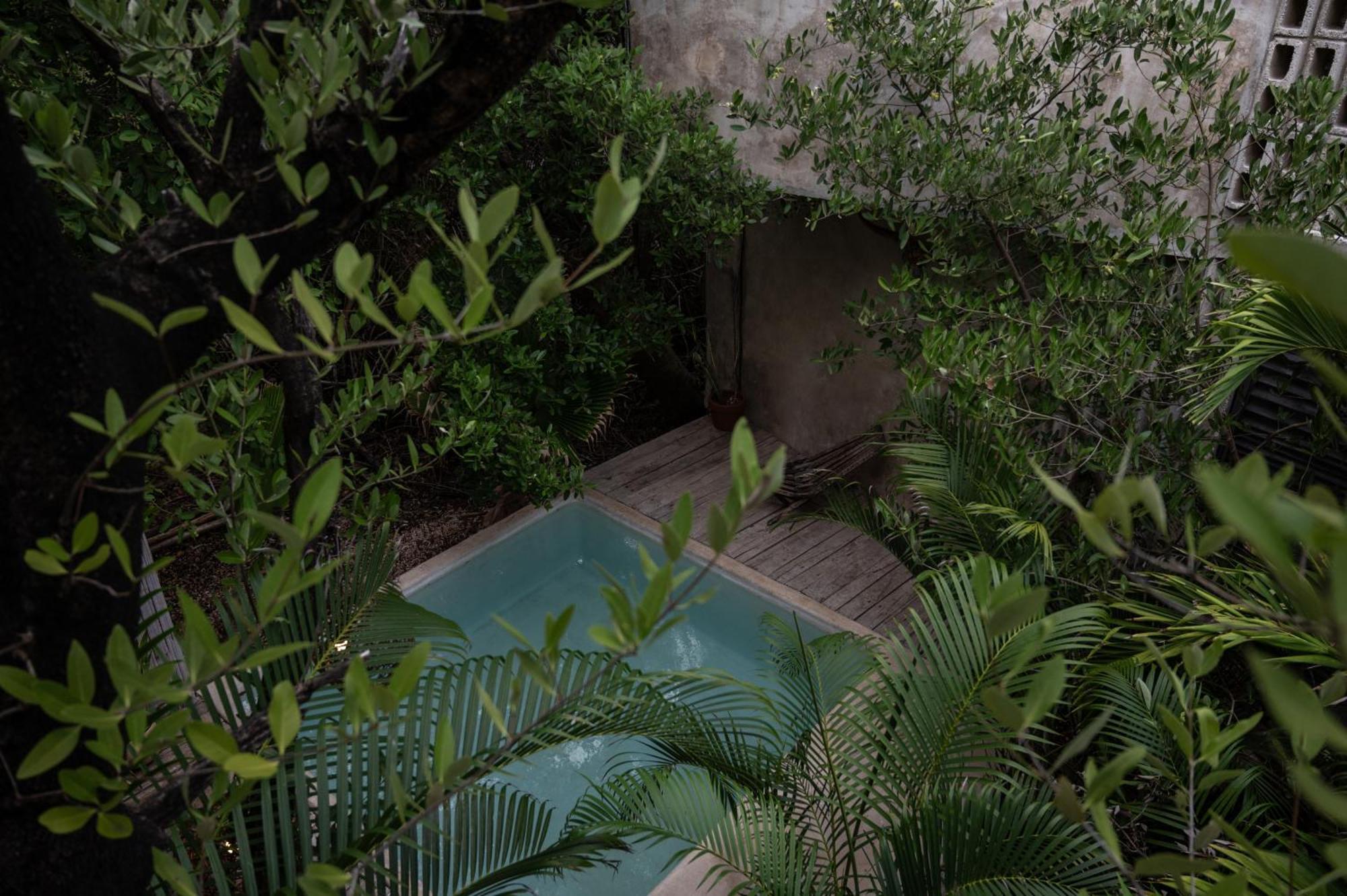 Casa Coyote Tulum Ξενοδοχείο Εξωτερικό φωτογραφία